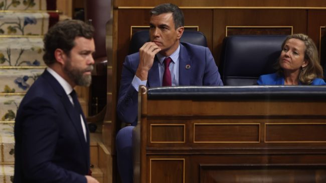 Vox reprocha a Sánchez la mesa de diálogo y demanda elecciones anticipadas