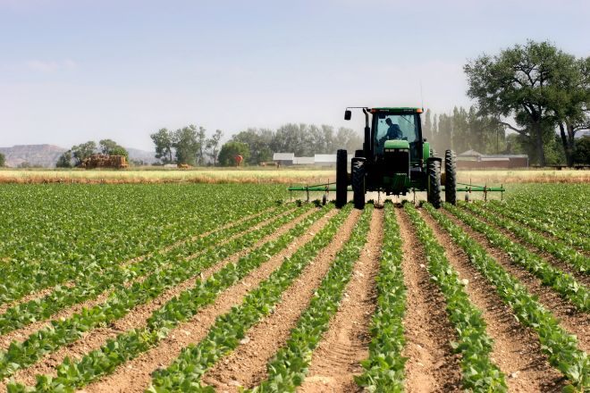 "Lo que pasa en el campo no se queda en el campo": la nueva campaña del Gobierno sobre la PAC