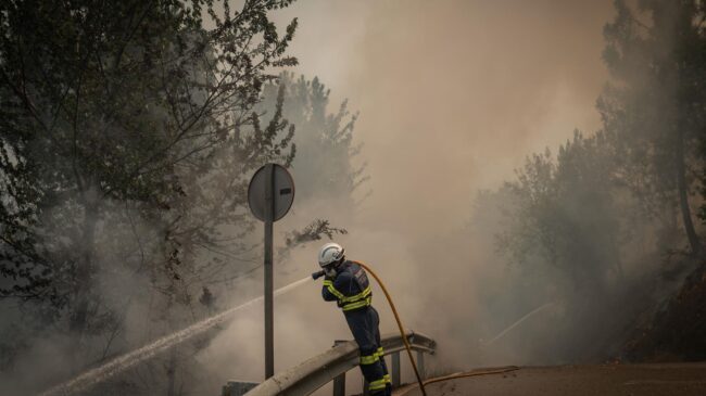 Al menos 60.000 hectáreas arrasadas por los incendios de los últimos días en España