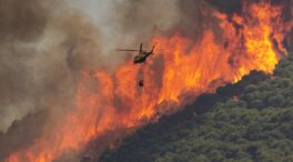 España arde: Extremadura, Castilla y León, Andalucía y Galicia siguen luchando contra los incendios forestales