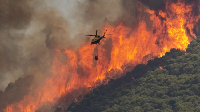 España arde: Extremadura, Castilla y León, Andalucía y Galicia siguen luchando contra los incendios forestales