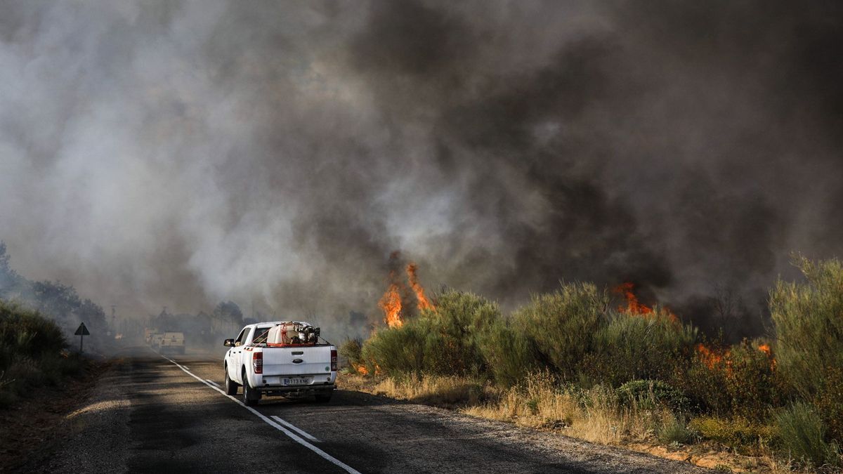 Tragedia en Zamora: dos muertos, 11 heridos y más de 3.000 evacuados por el incendio de Losacio