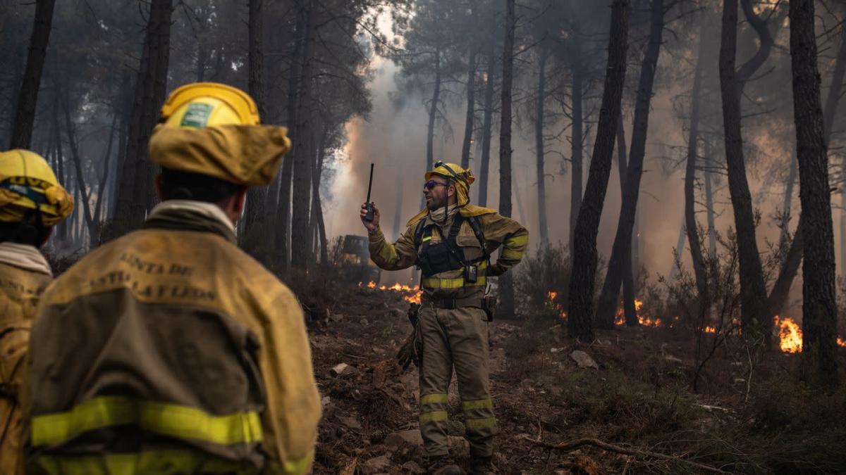 ¿Cambio climático? Los expertos desmontan la teoría de Sánchez sobre los incendios en España: «No es realista»