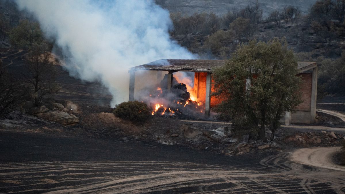 Alerta por las altas temperaturas y el riesgo de incendios forestales en varios puntos del país