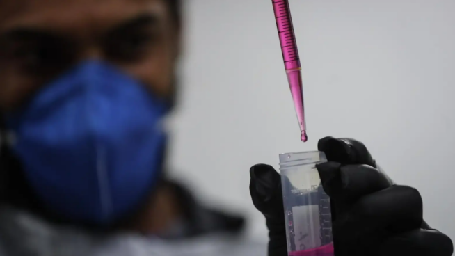 Demuestran la eficacia de un fármaco contra la hepatitis A con ratones