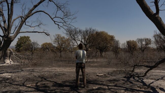La superficie quemada en España asciende hasta las 222.800 hectáreas, según el organismo europeo EFFIS
