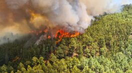 (VÍDEOS) Las imágenes térmicas a vista de dron del incendio que asola Tenerife