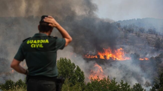 España sufre la peor ola de incendios desde 2012: 193.247 hectáreas forestales arrasadas por el fuego