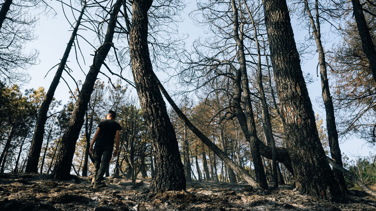 La Diputación de Ávila pide extremar las precauciones para evitar incendios
