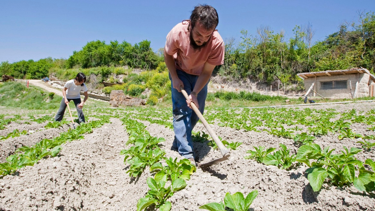Agua y alimentación, olvidadas