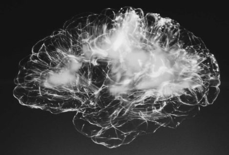 ¿Puede un algoritmo predecir el sexo de una persona a partir de los datos de su cerebro?