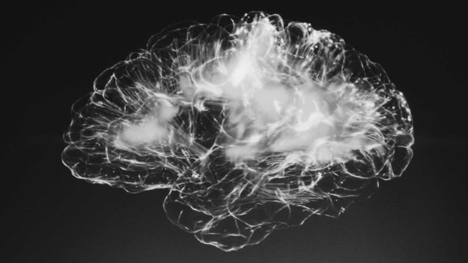 ¿Puede un algoritmo predecir el sexo de una persona a partir de los datos de su&nbsp;cerebro?