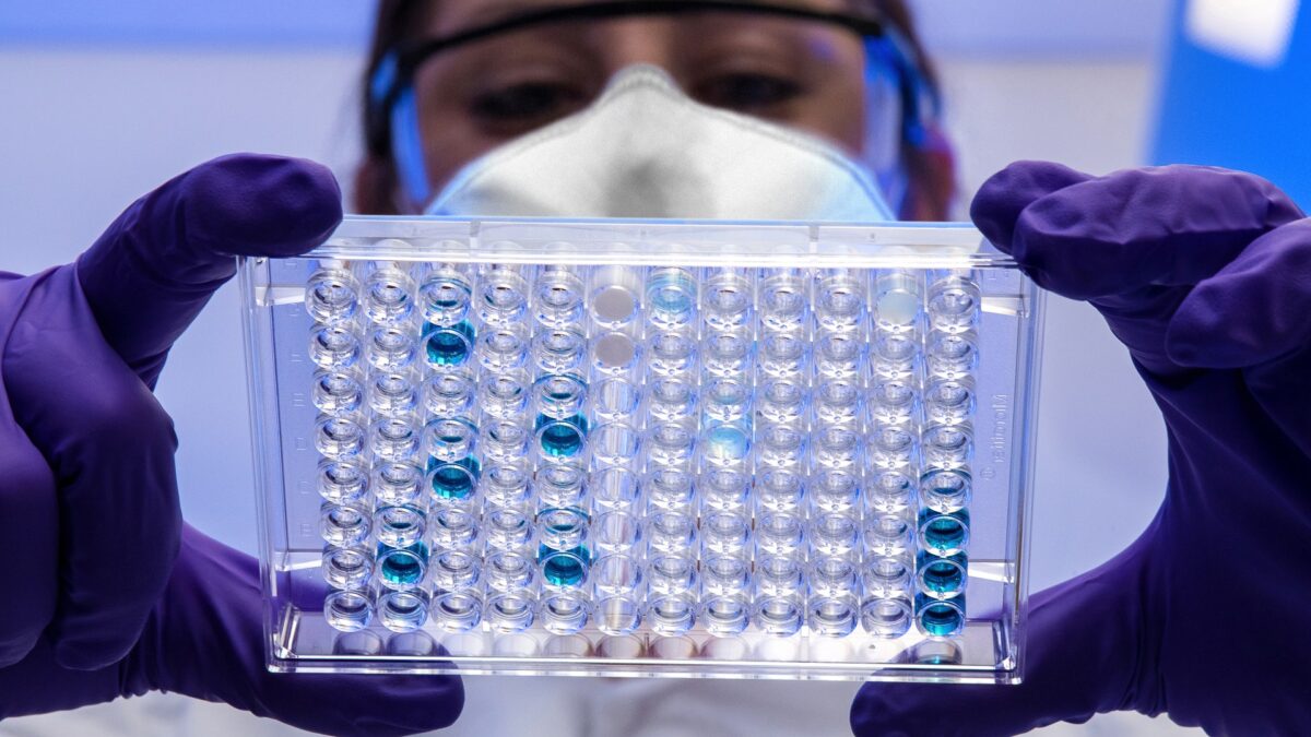 Lo que no nos mata nos podría hacer más fuertes: terapia génica con virus