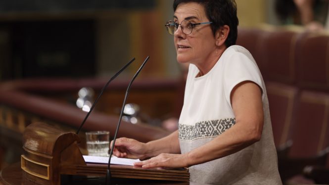 Bildu carga contra la Transición y critica que España no es una democracia plena