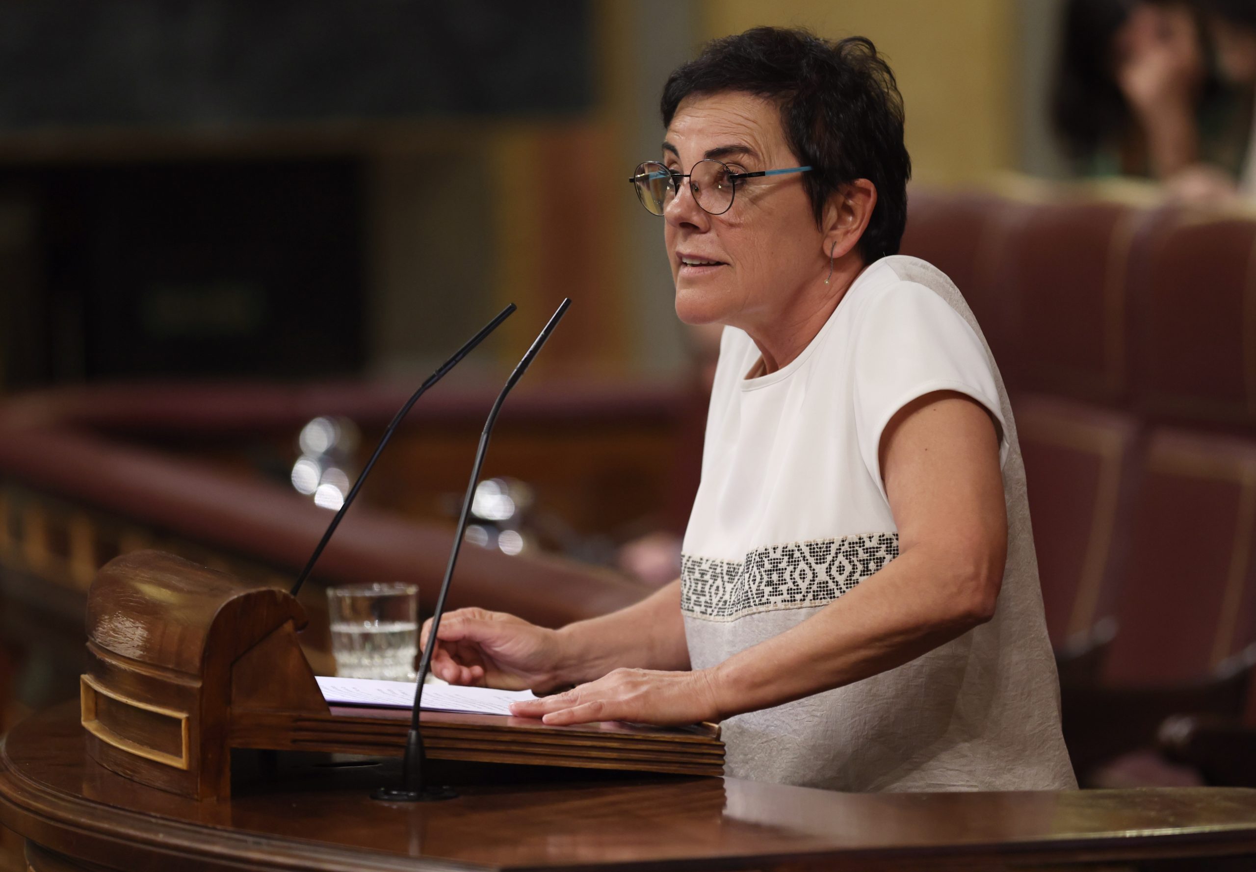 Bildu carga contra la Transición y critica que España no es una democracia plena