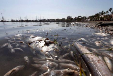 Científicos acreditan aguas residuales mal depuradas en la contaminación del Mar Menor