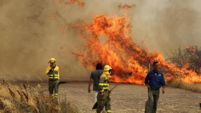 El incendio de Zamora, el de mayor superficie en España desde que hay registros