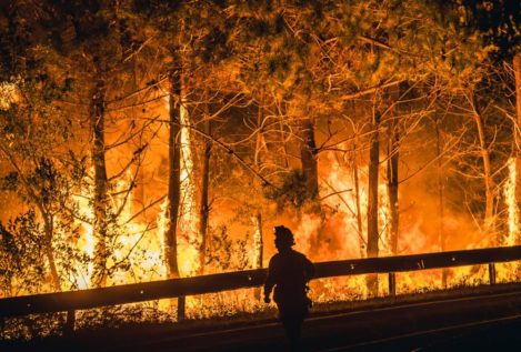 El fuego se ceba con La Coruña y Ávila: dos graves incendios arrasan casi 4.000 hectáreas