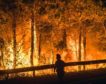 El fuego se ceba con La Coruña y Ávila: dos graves incendios arrasan casi 4.000 hectáreas
