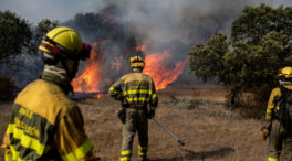 Fallece un herido grave en el incendio de Losacio (Zamora) del 17 de julio