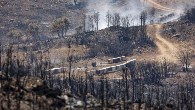 El incendio de Bejís evoluciona favorablemente, pero el viento amenaza con reavivar las llamas