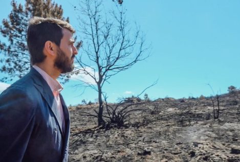 Castilla y León contratará a 400 parados para limpiar los montes y prevenir los incendios