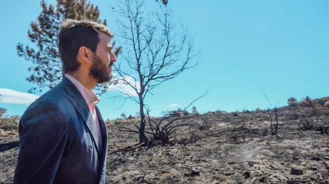 Castilla y León contratará a 400 parados para limpiar los montes y prevenir los incendios