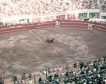 El único torero vivo de la corrida que Franco autorizó en Yugoslavia: «Gritaban a los picadores»