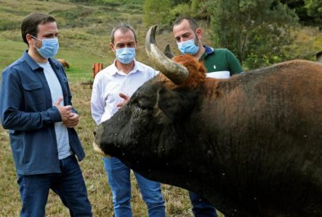 Los ganaderos reprochan a Garzón que ceda a las presiones de los animalistas para grabarlos