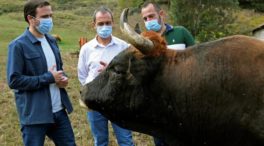 Los ganaderos reprochan a Garzón que ceda a las presiones de los animalistas para grabarlos