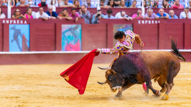Los toros volverán a Ceuta 27 años después de la última corrida