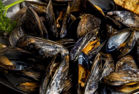 Desarrollan un método para detectar la presencia de ibuprofeno en mejillones