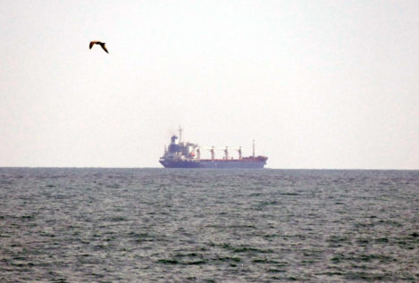 Turquía confirma la salida desde Ucrania de cuatro barcos con maíz y aceite de girasol