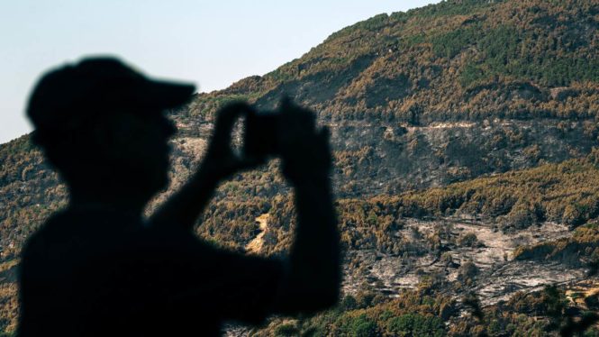 Rebajan a cero la peligrosidad del incendio de Ávila tras quemar 1.000 hectáreas en ocho días