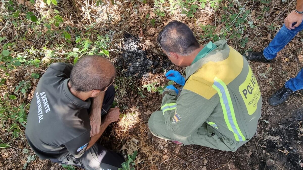 Sorprendida una mujer cuando iba a provocar un incendio en Orense