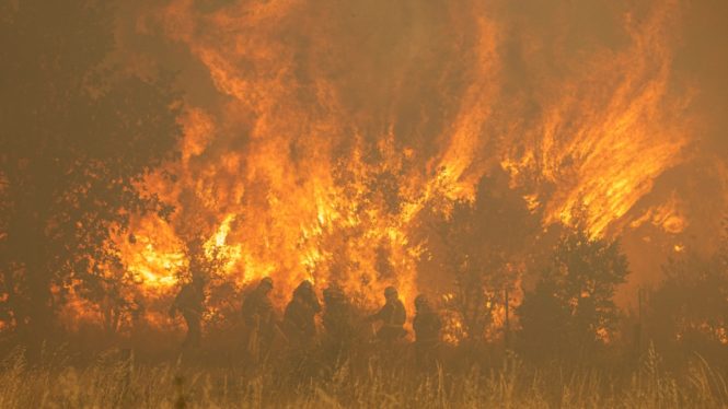 La Junta de Castilla y León considera que se actuó «perfectamente» contra los incendios