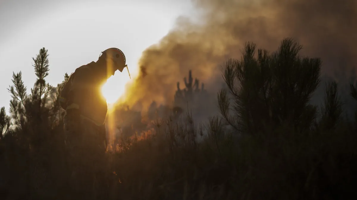 El exceso de burocracia y la pérdida de gestión forestal, entre las causas de la ola de incendios