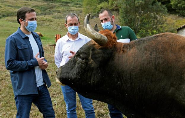 Los ganaderos reprochan a Garzón que ceda a las presiones de los animalistas para grabarlos