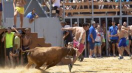 Las peñas valencianas de "bous al carrer" se rebelan: anuncian acciones legales si prohíben los festejos taurinos