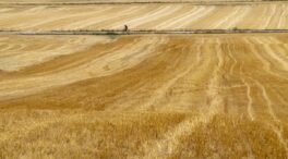 Tres buques con más de 58.000 toneladas de cereales parten desde Ucrania