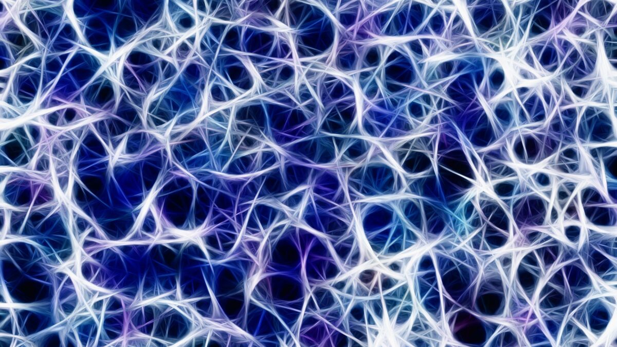 Identificados nuevos reguladores que se encuentran implicados en la formación de redes neuronales