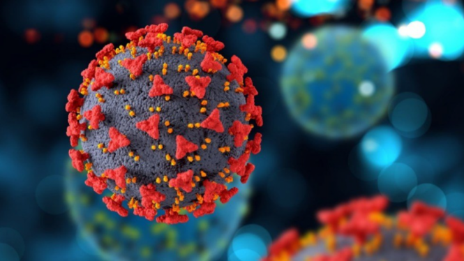 Halladas 11 nuevas regiones genéticas implicadas en la gravedad de la covid-19