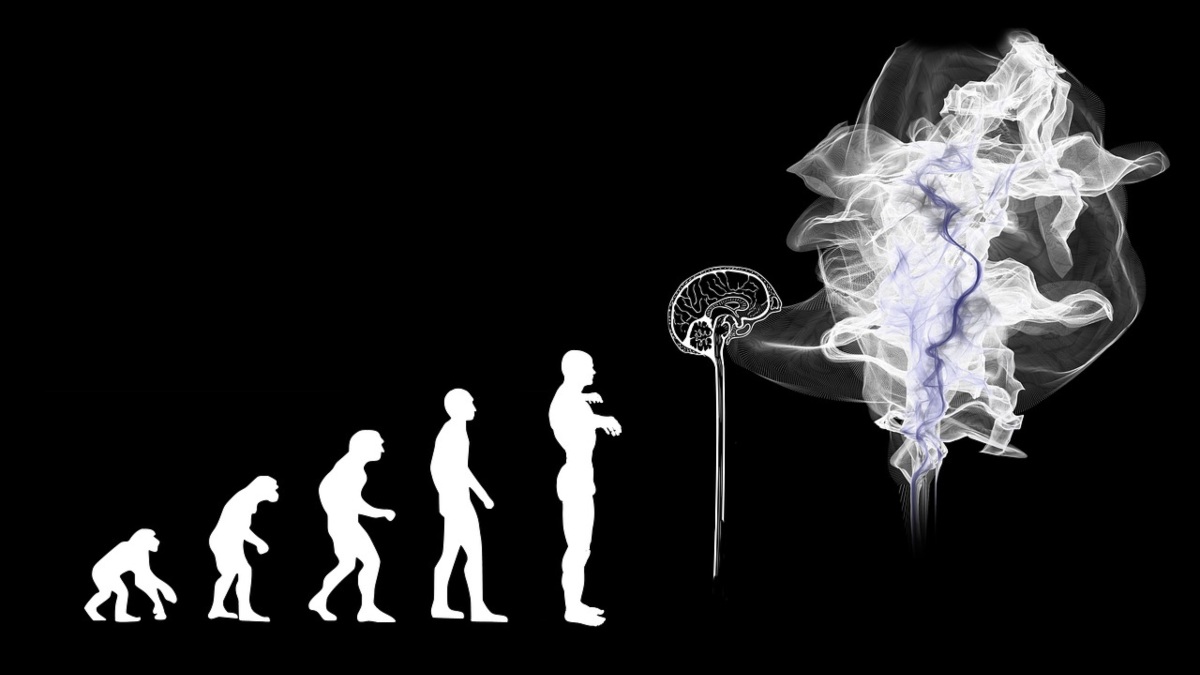 ¿Necesitamos una agencia que supervise la inteligencia artificial?