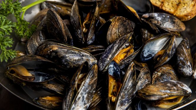 Desarrollan un método para detectar la presencia de ibuprofeno en mejillones