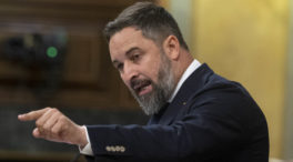 Vox sigue la estrategia de Ayuso y anuncia que llevará el decreto energético al Constitucional