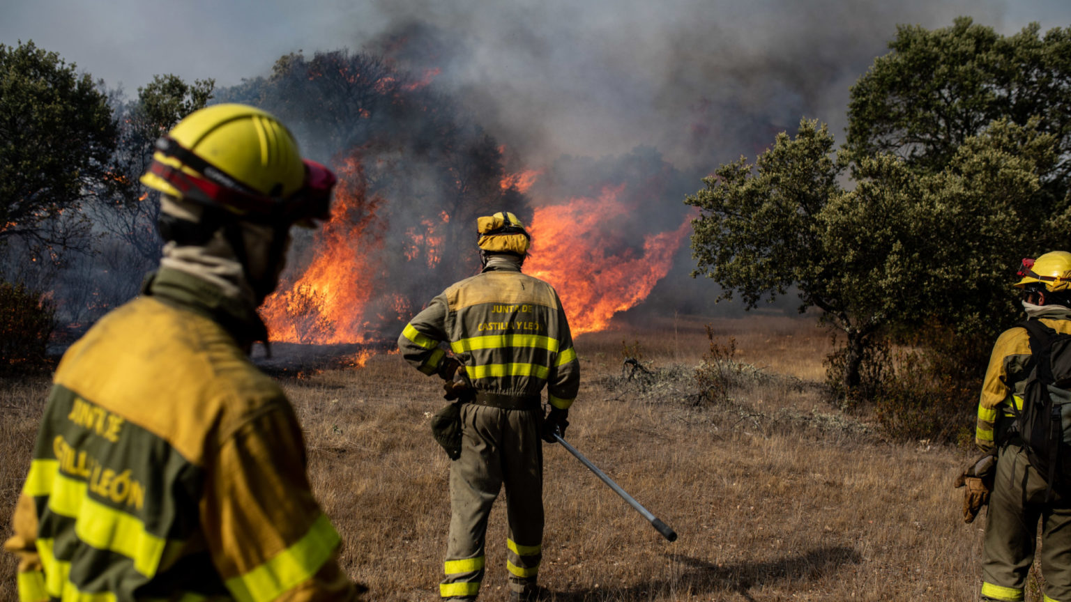 Fallece un herido grave en el incendio de Losacio (Zamora) del 17 de julio