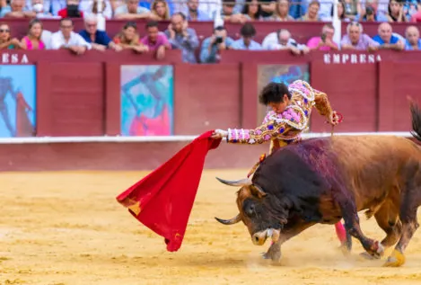 Los toros volverán a Ceuta 27 años después de la última corrida