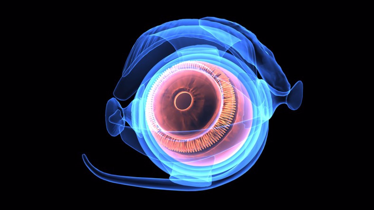 Desarrollan una córnea con bioingeniería que puede devolver la vista a ciegos