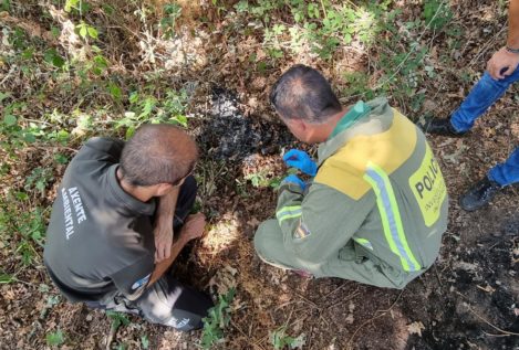 Sorprendida una mujer cuando iba a provocar un incendio en Orense