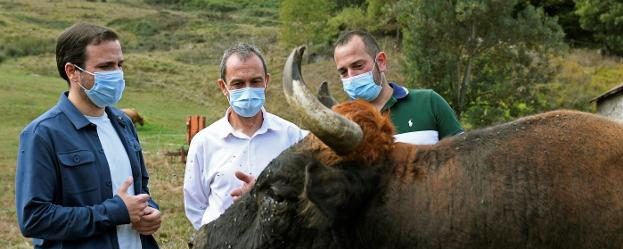 Los ganaderos reprochan a Garzón que ceda a las presiones de los animalistas para grabarlos